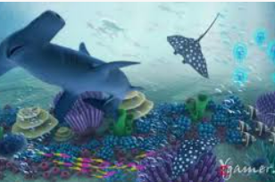 so米体育-在线观看nba直播|足球|篮球cba比赛高清视频免费版